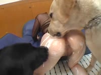 Kinky Asian babe loves hardcore beastiality sex